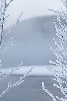 Similar – Image, Stock Photo bollards Winter Rope Water