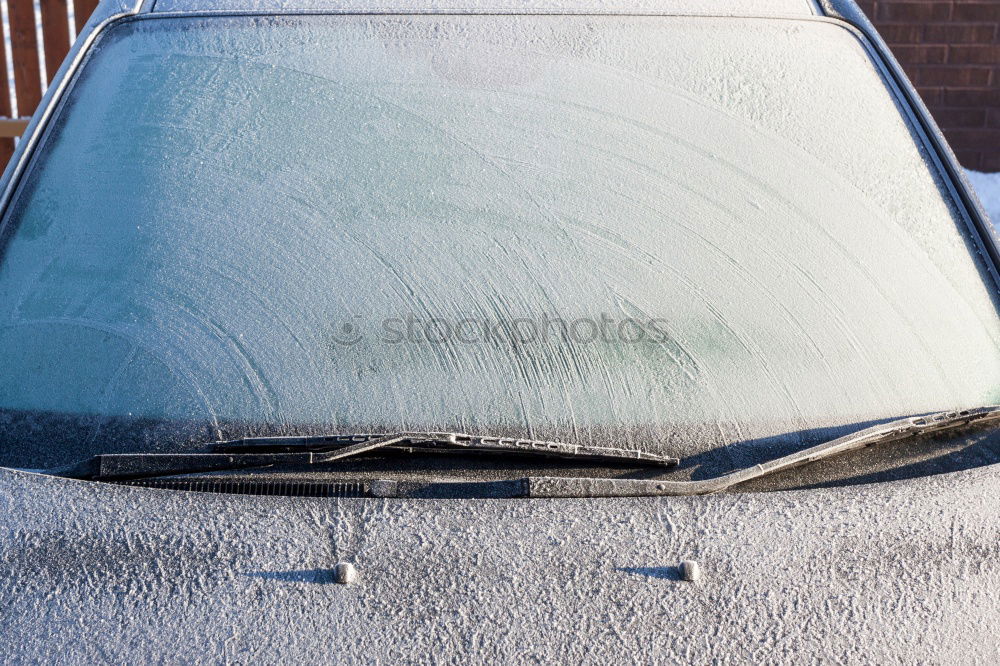 Similar – Image, Stock Photo frosty morning in March…