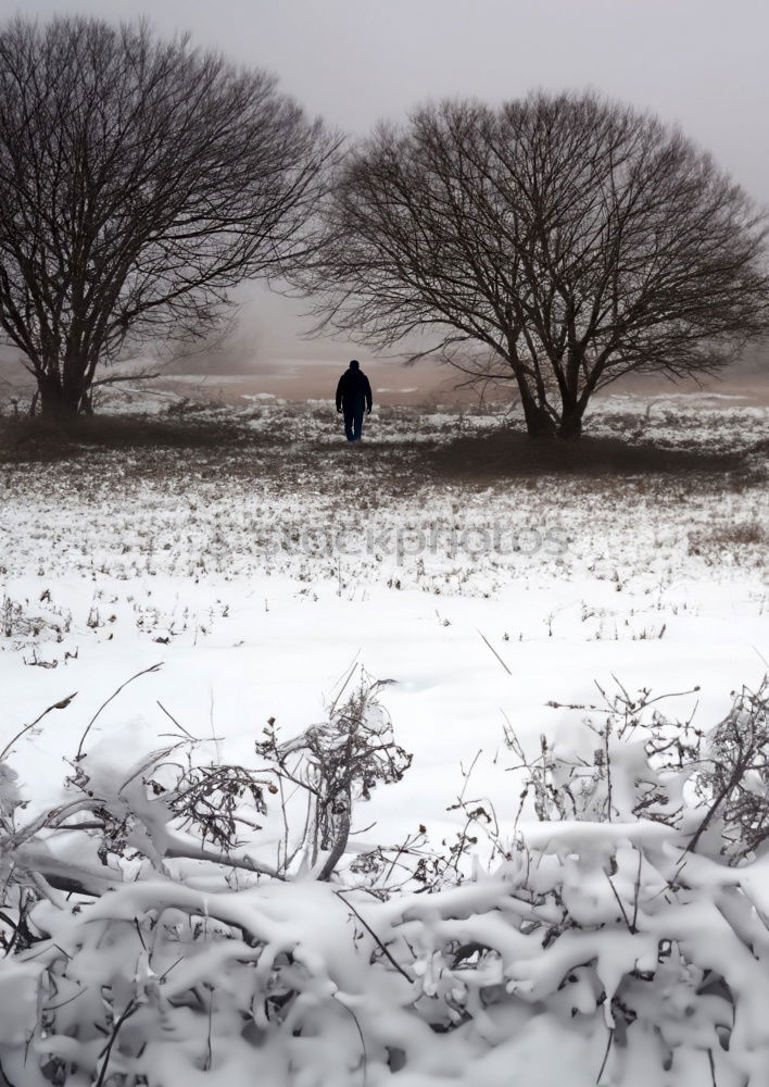 Similar – snow Masculine Man Adults