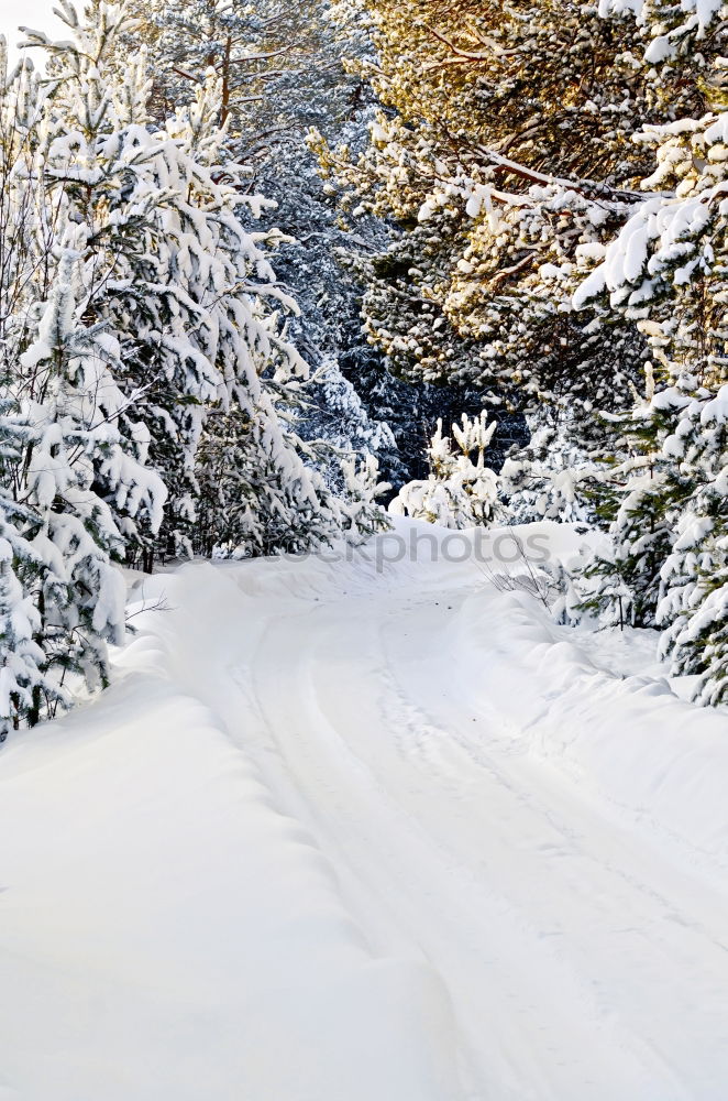 Similar – Image, Stock Photo Tracks in the snow Winter