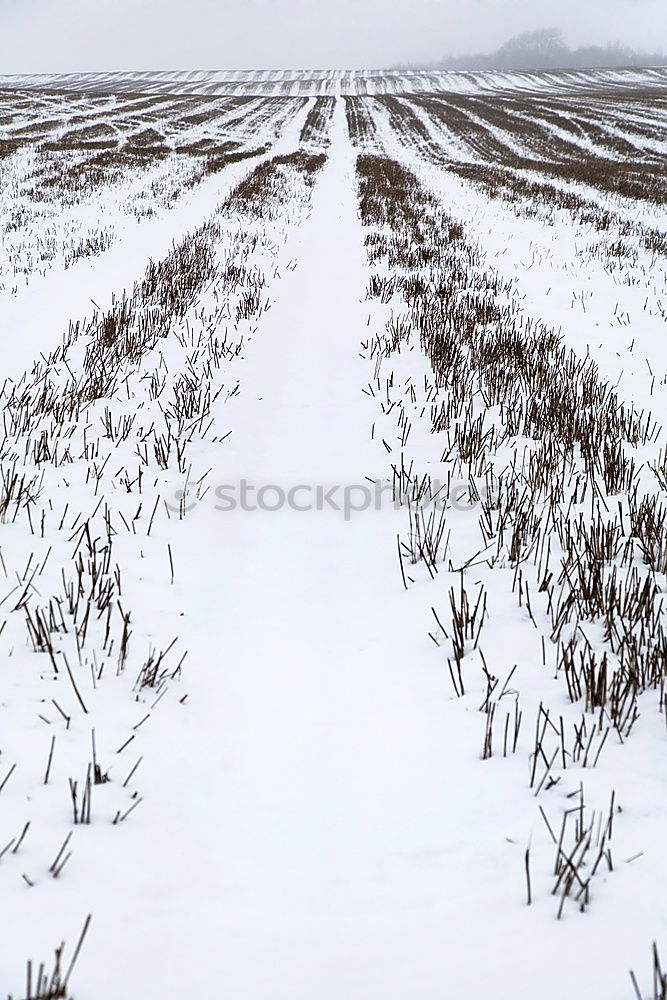 Similar – Foto Bild Kälte hängt über dem Land