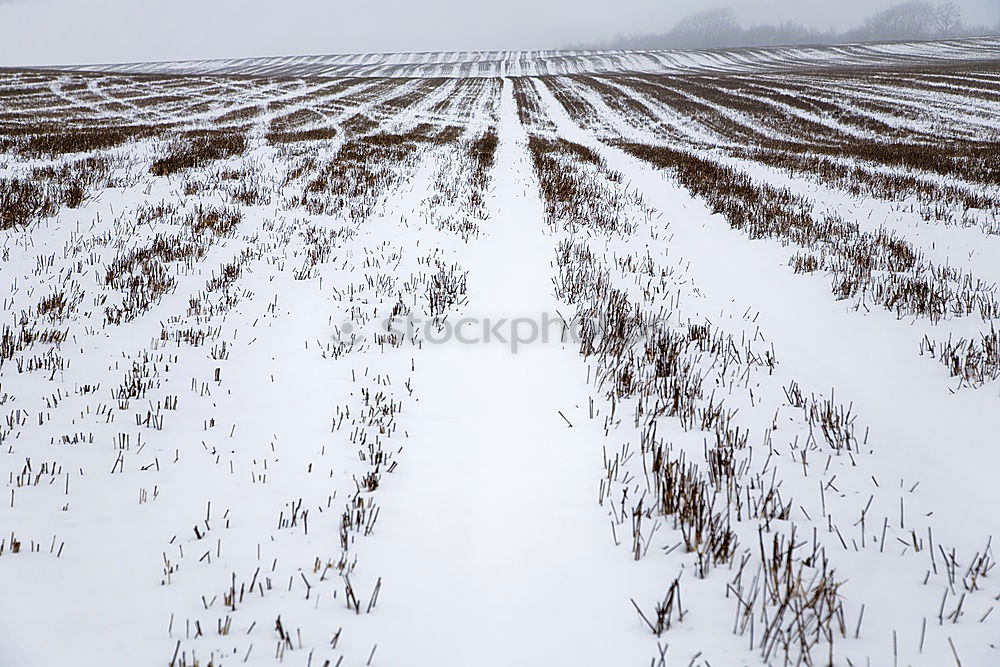 Image, Stock Photo Uckermark Environment