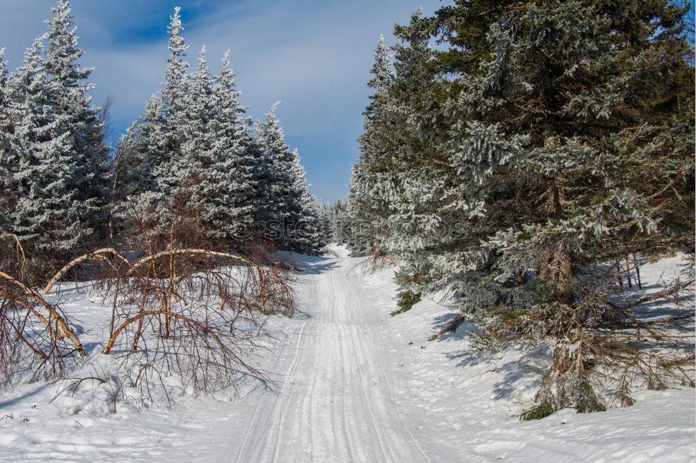 Similar – dem Winter entgegen