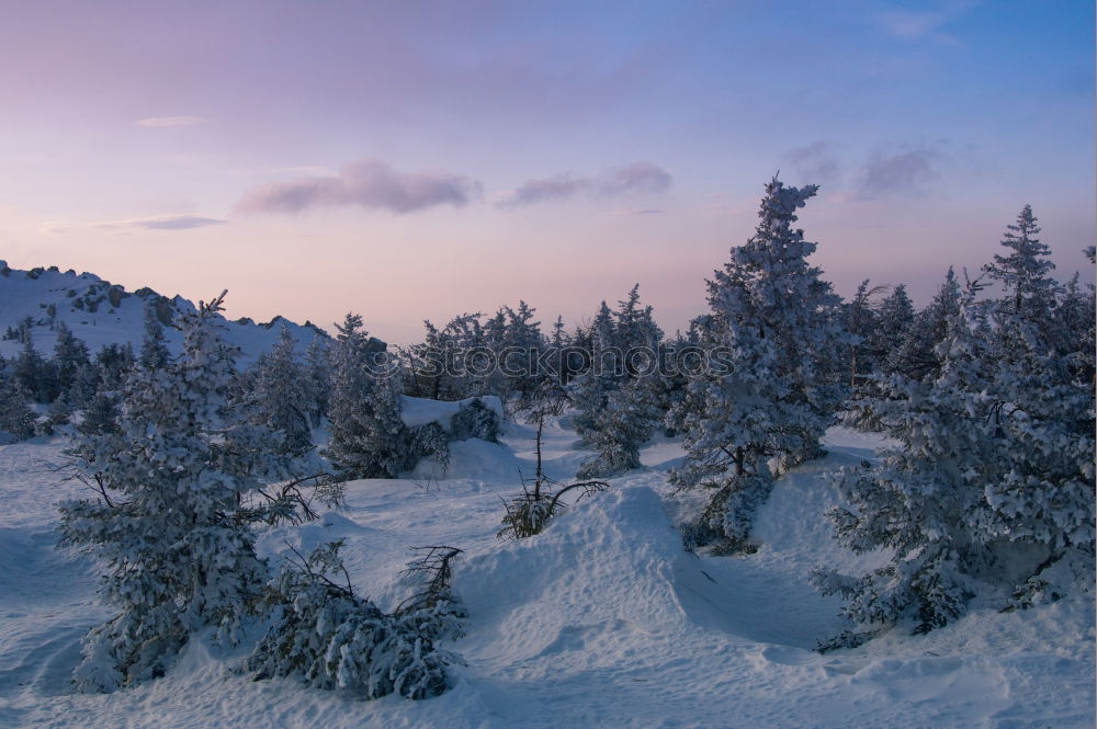 Similar – Image, Stock Photo winter hike in the northern Black Forest on a sunny day