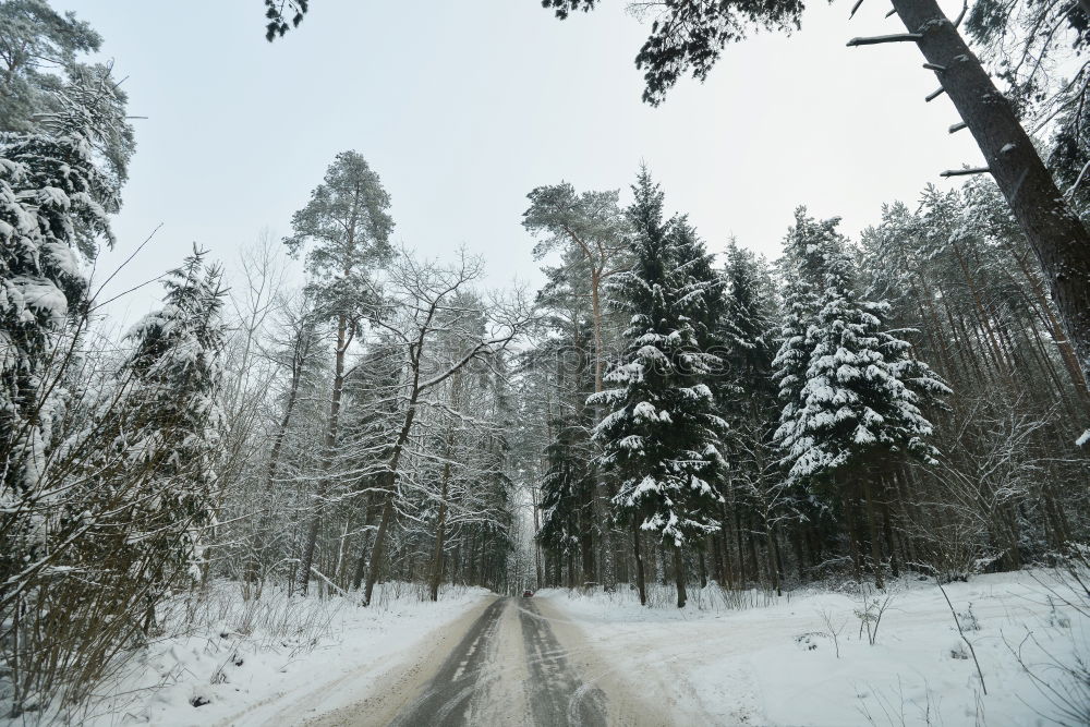 Similar – Image, Stock Photo Aerial landscape with meandering snowy winter mountain road with a moving truck