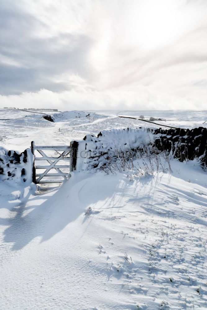 Similar – Image, Stock Photo Man jogging through meadow pathway during heavy snowing