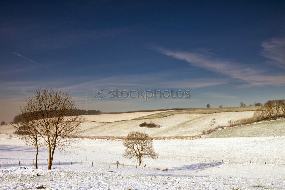 Image, Stock Photo lined landscape Winter