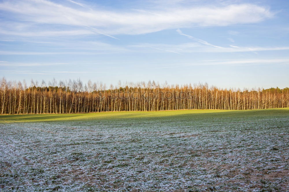 Similar – Image, Stock Photo winter landscape