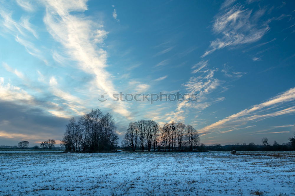 Similar – Image, Stock Photo rainbow and tree shadow on green meadow