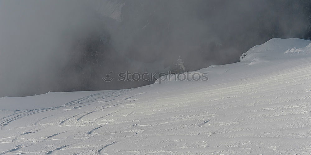 Similar – Image, Stock Photo powder party