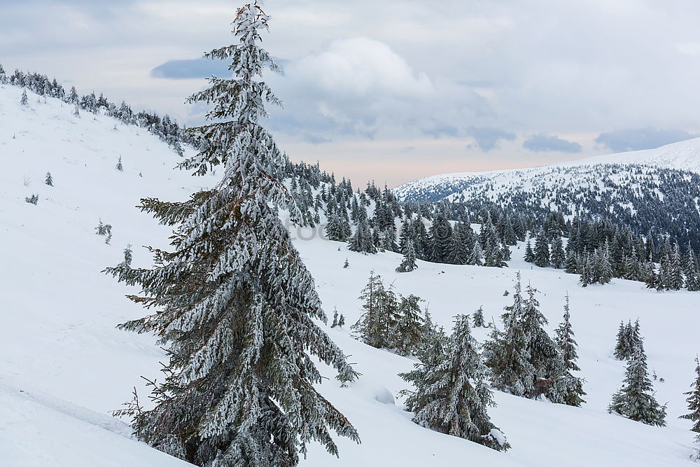 Similar – Ski hut & summit panorama