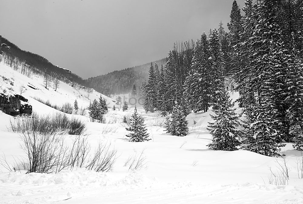 Similar – Überblick Winter