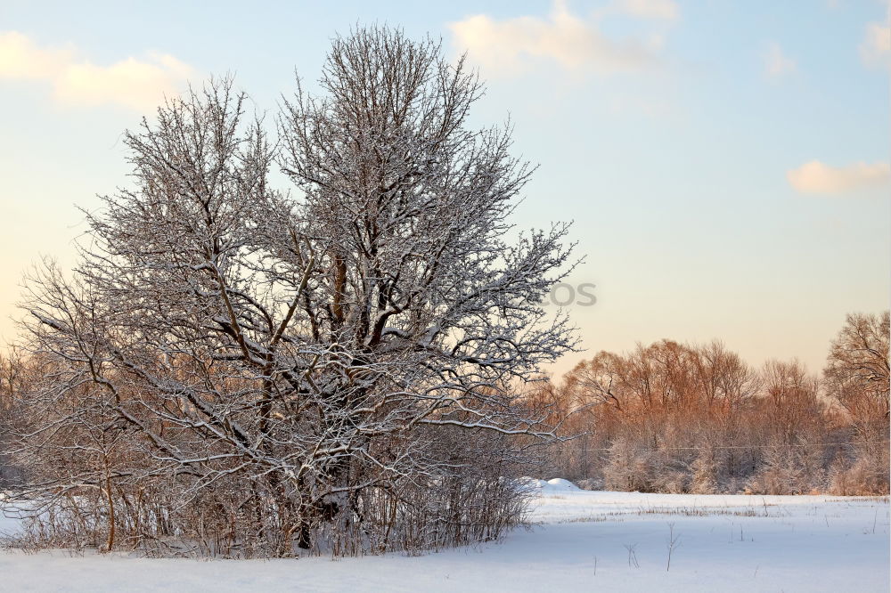 Similar – Image, Stock Photo a white cold dress Trip