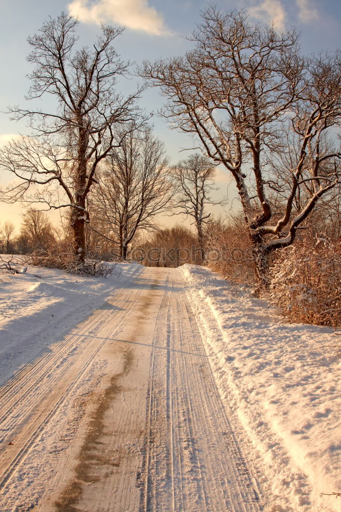 Similar – Image, Stock Photo Winter Hike Ice Frost