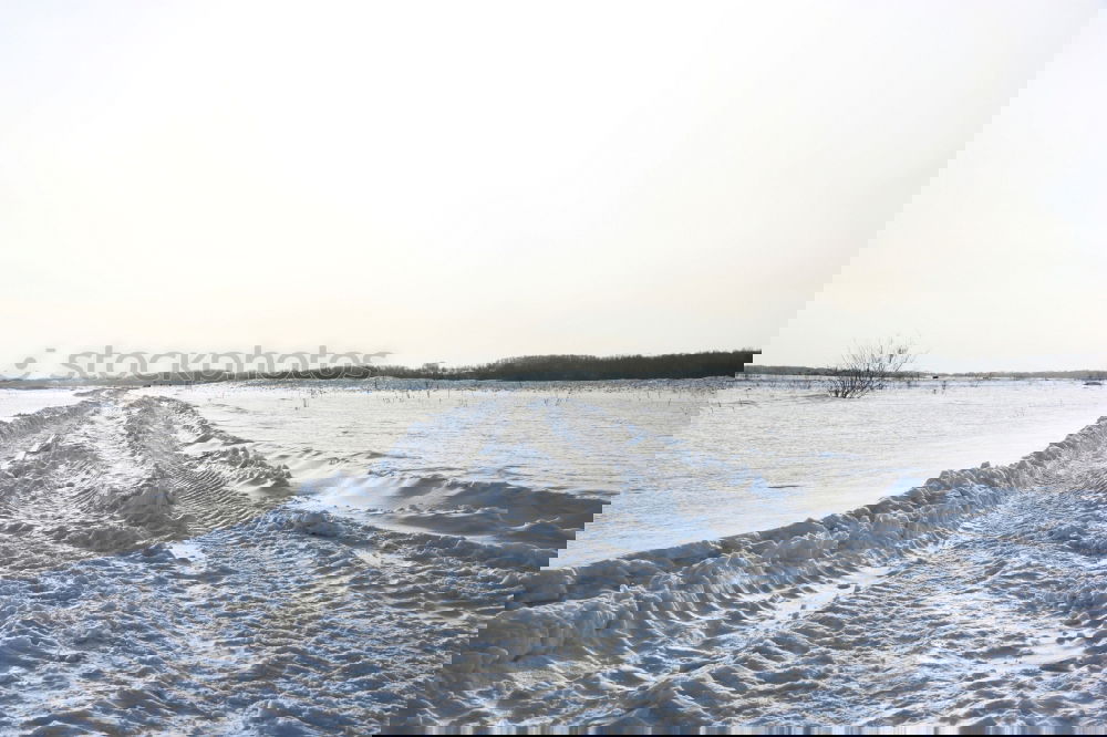 Similar – Image, Stock Photo into the fog Environment