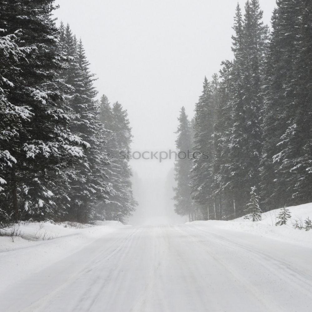 Similar – Foto Bild SCHILD Umwelt Natur Wolken