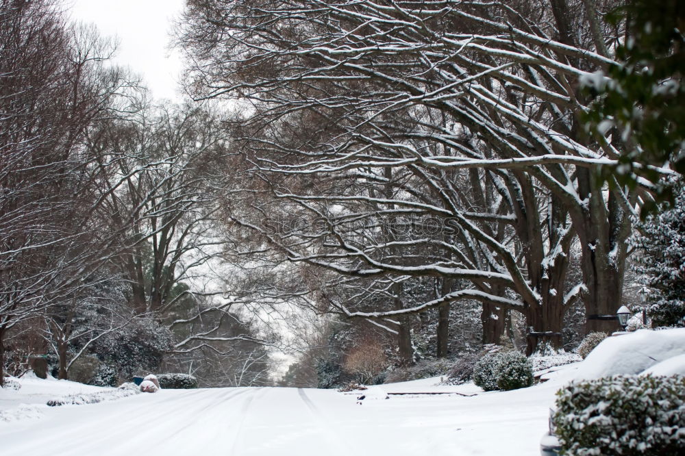 Image, Stock Photo winter dream Long exposure