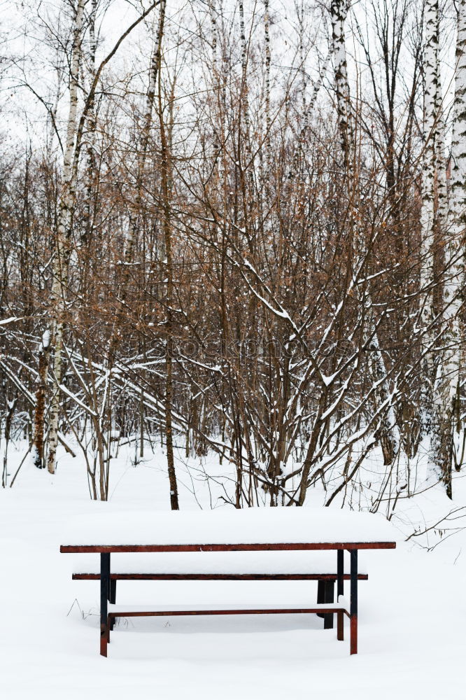 Similar – Image, Stock Photo financial crisis III Bench