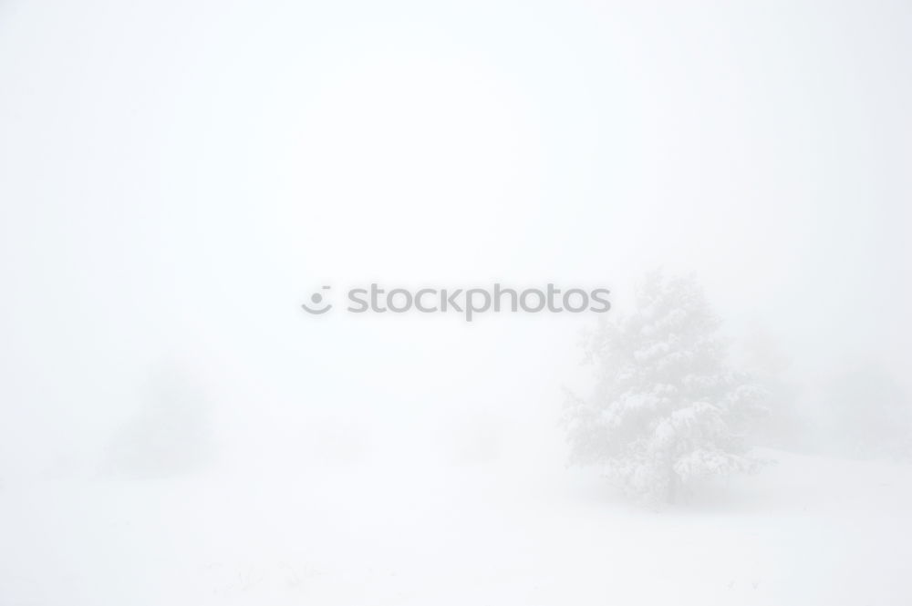 Similar – Foto Bild Warschauer Schnee Winter