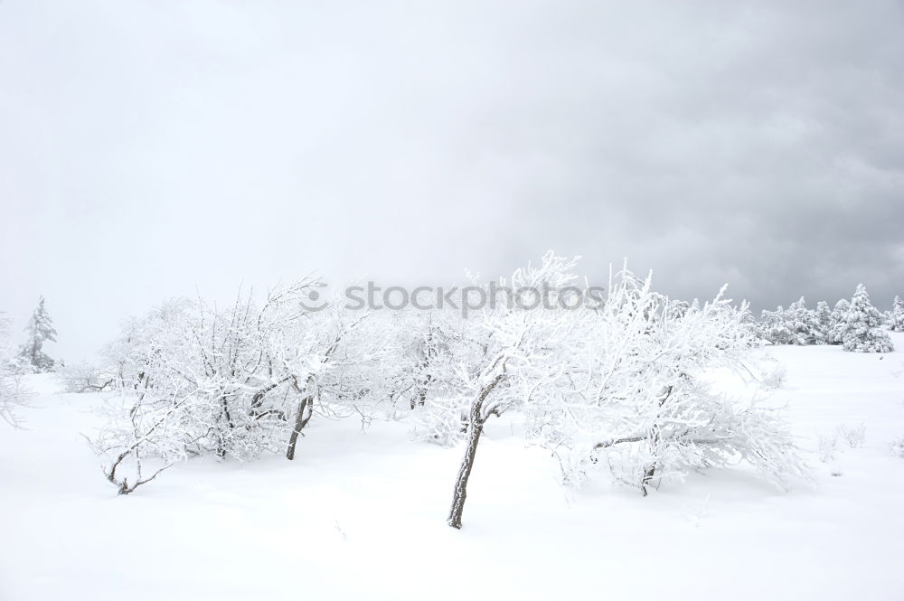 Similar – Image, Stock Photo hut magic Landscape Sky