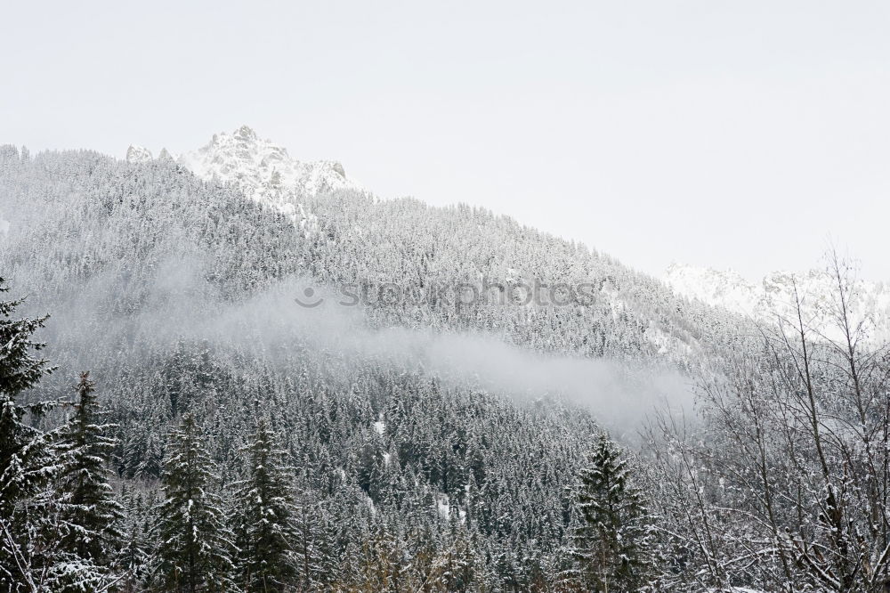 Similar – Frost as far as the eyes can see