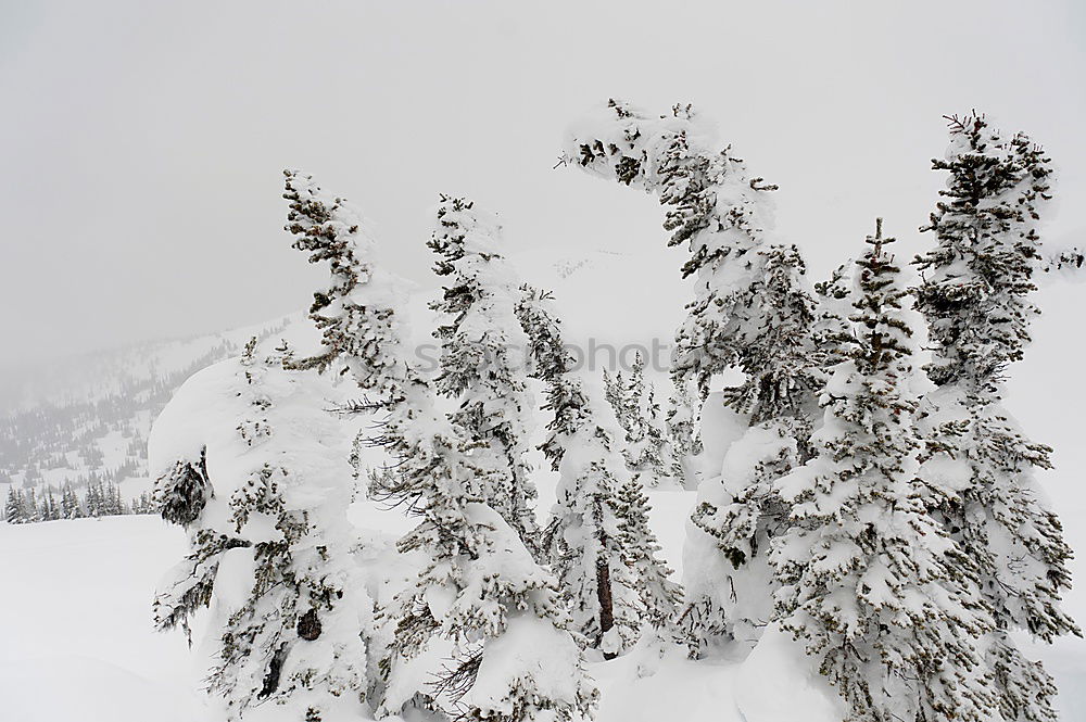 Similar – Talabfahrt Natur