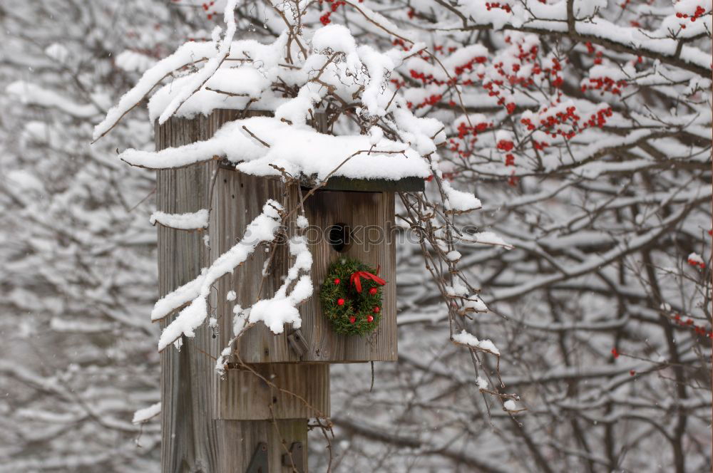 Similar – Absturzgefahr Winter