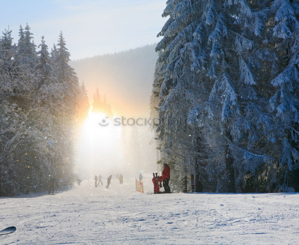 Similar – Image, Stock Photo Winter forest against the light Harz III