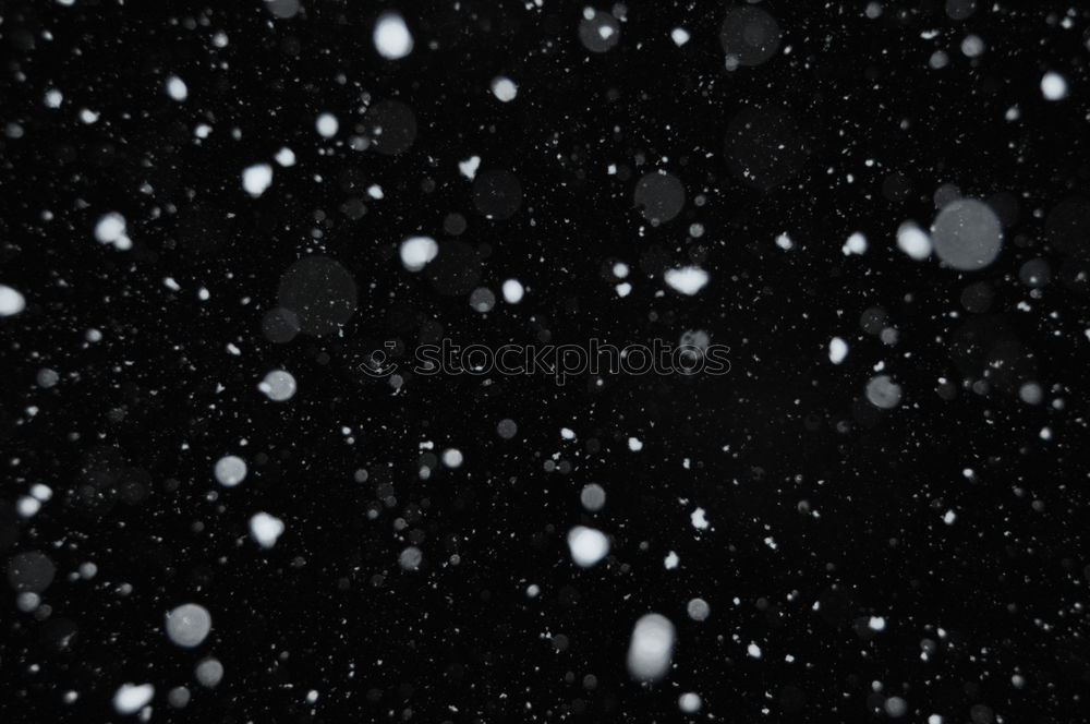 Similar – Snow and flakes Snowflake