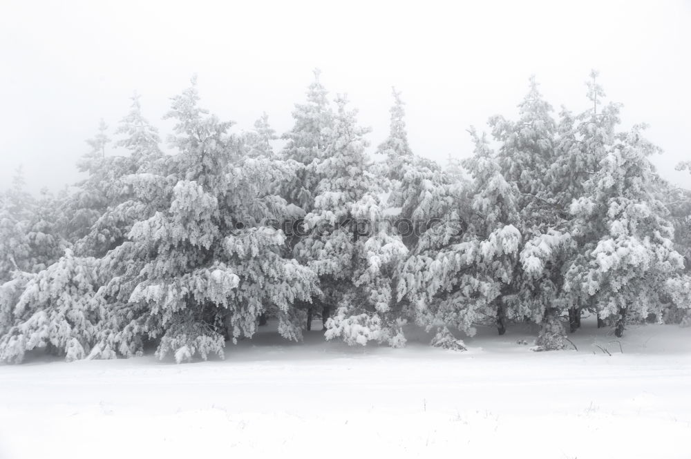 Similar – Image, Stock Photo winter top Exterior shot