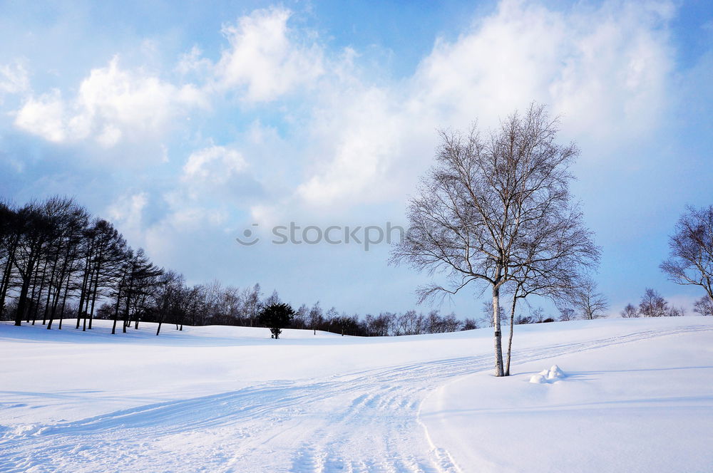 Image, Stock Photo Snow-covered winter landscape in the Black Forest