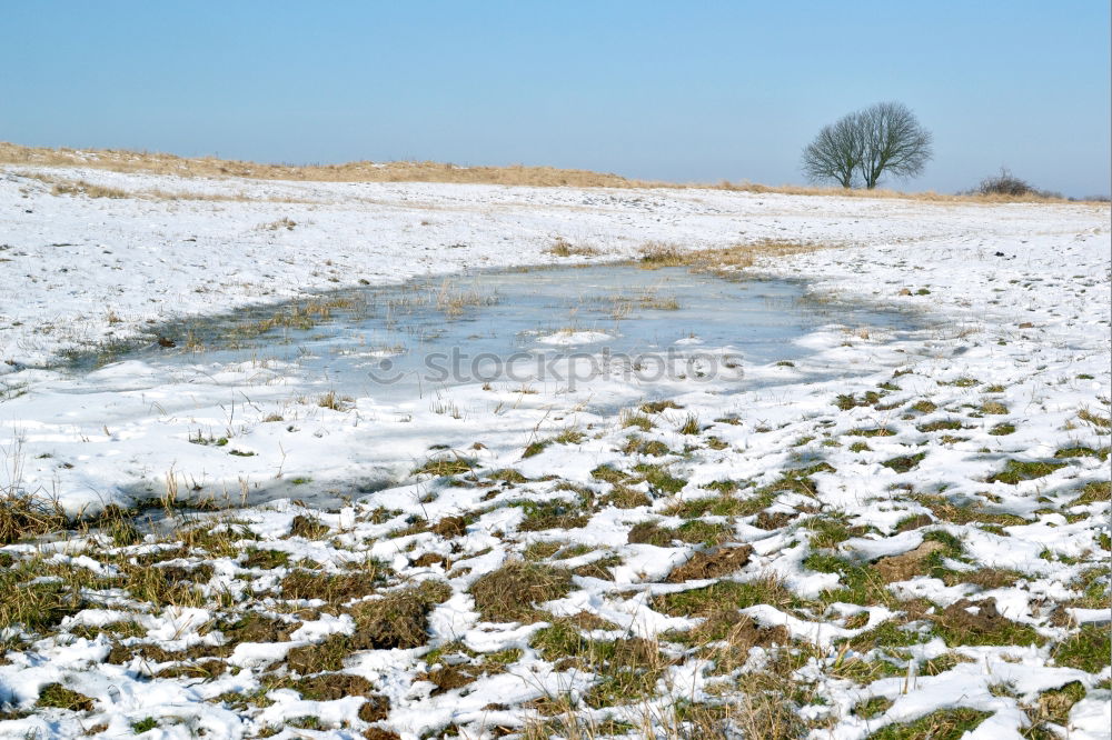 Similar – Foto Bild Solzow Umwelt Natur