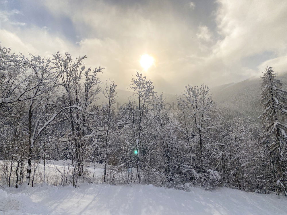 Similar – Image, Stock Photo morning sunrise over cabin in winter alpine forest and snow