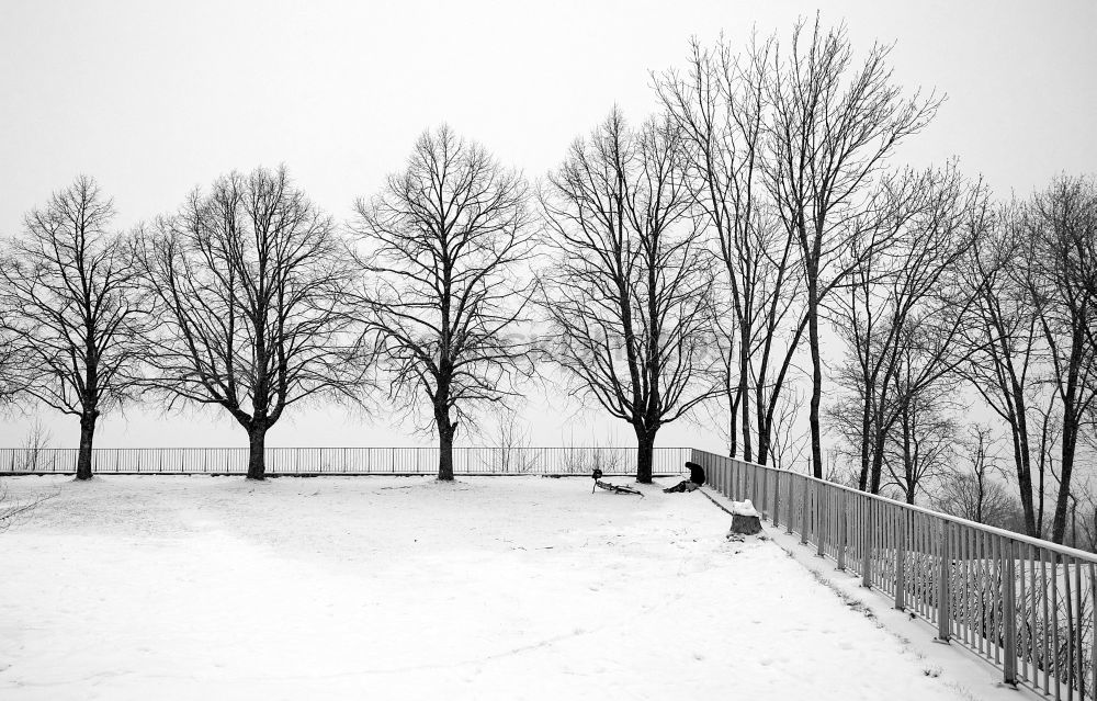 Similar – Foto Bild Last Living Souls
