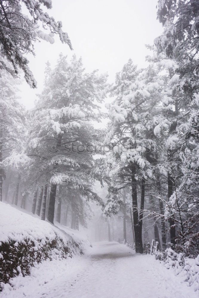 Similar – Image, Stock Photo Lower Saxony Siberia