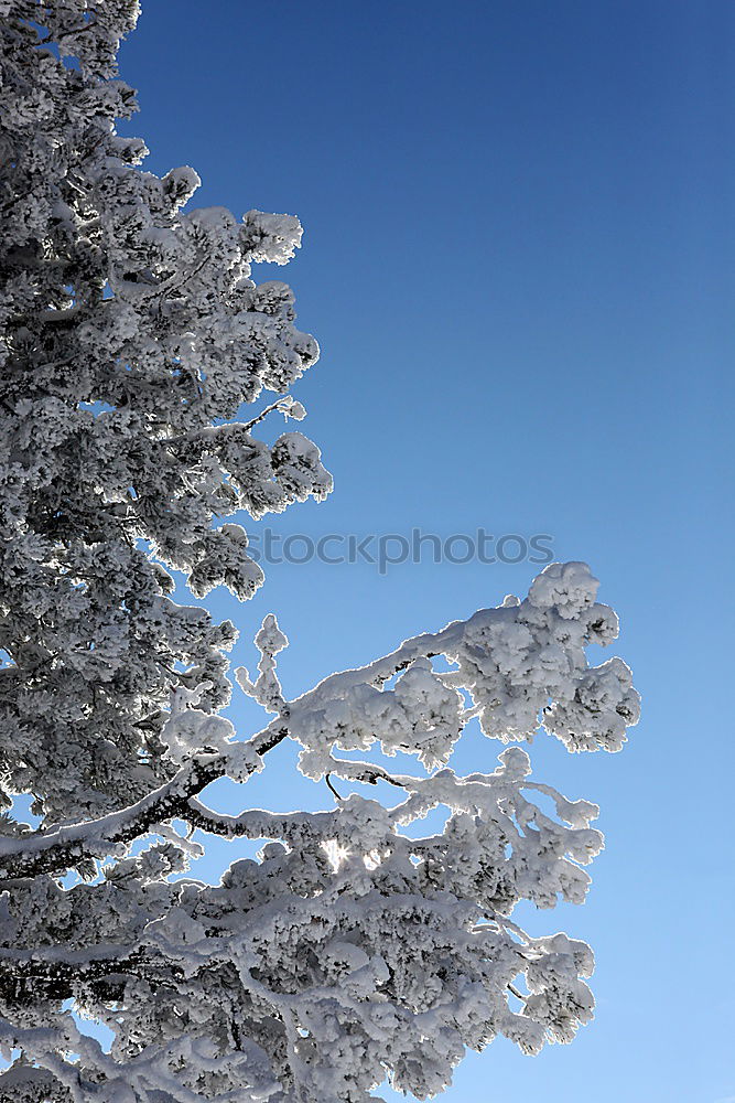 Similar – blauweiß mit Seitenwind