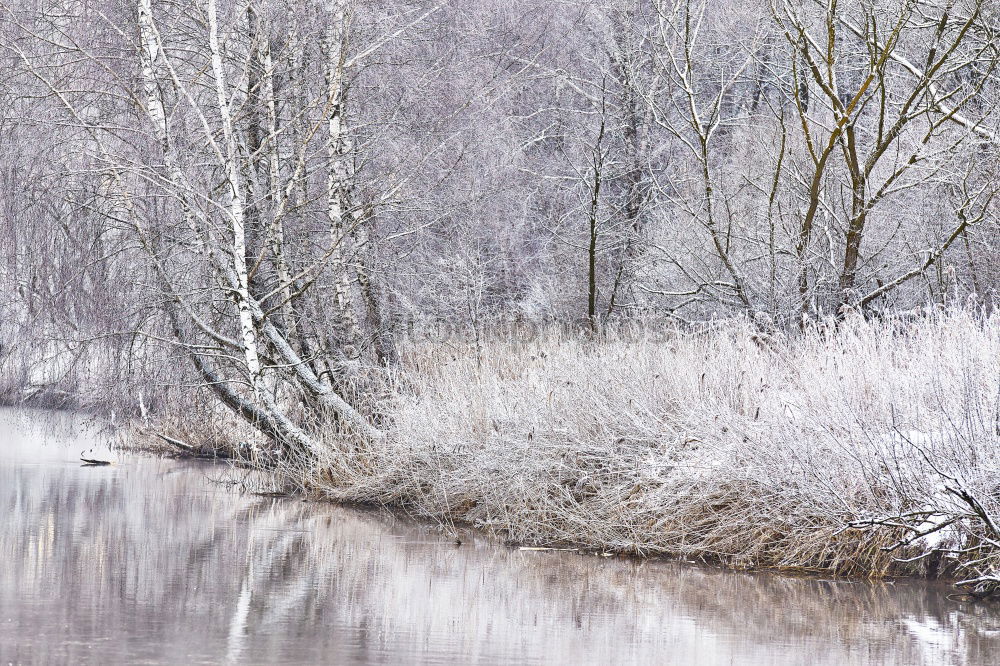 Similar – Foto Bild Frostschatten Leipzig