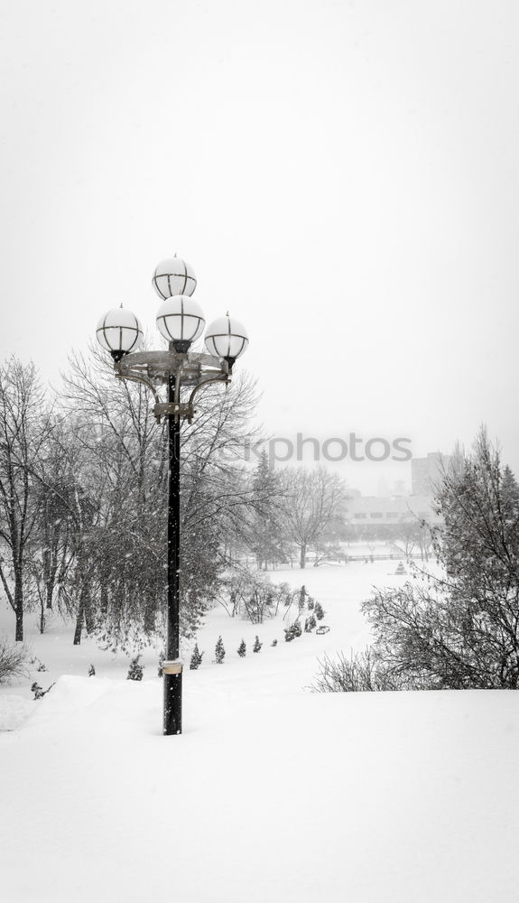 Similar – Rider on the (snow) storm