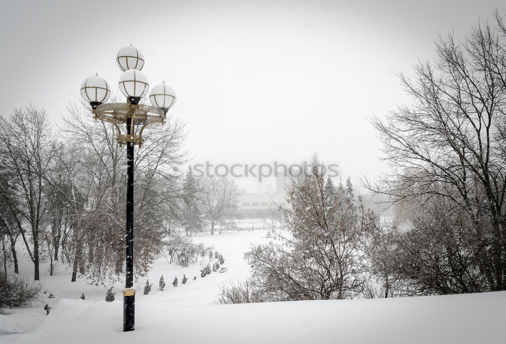 Similar – Image, Stock Photo Elbe in winter Sunrise