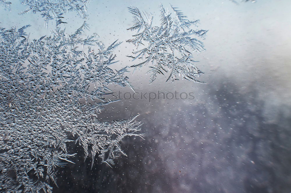 Similar – Image, Stock Photo ice tree Winter Nature