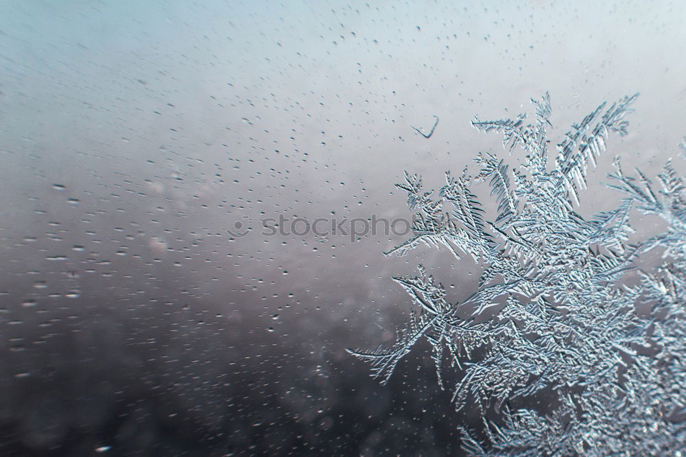 Similar – Image, Stock Photo car window decoration