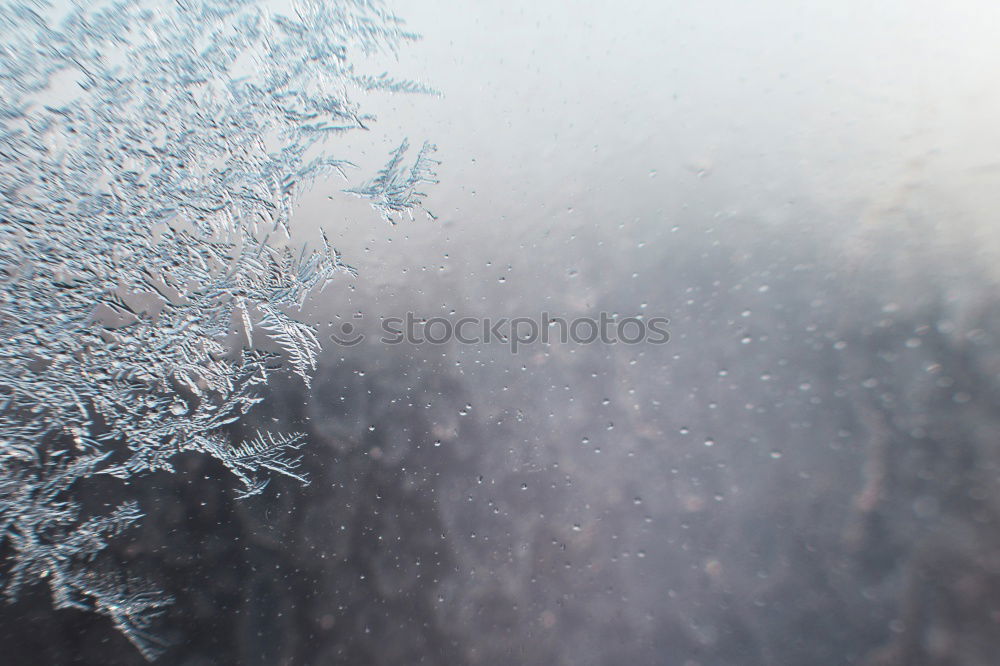 Similar – Image, Stock Photo frost Sky Winter