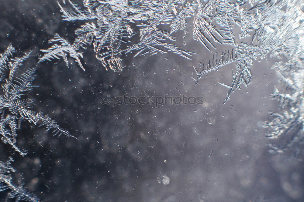 Similar – Frozen, yellow light behind ice plate