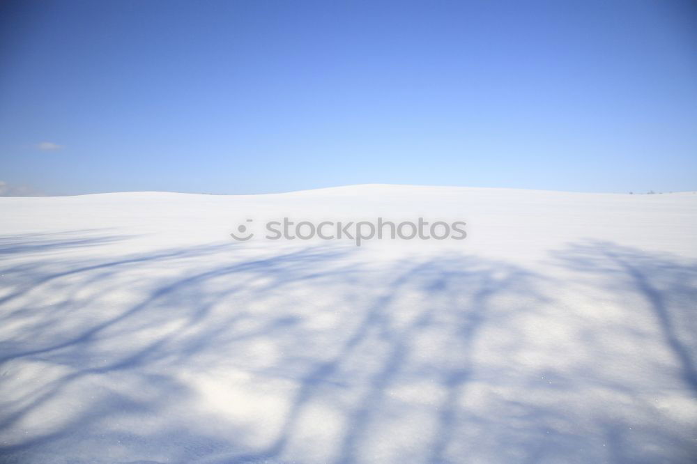 Similar – ausgebüxt Winter gefroren