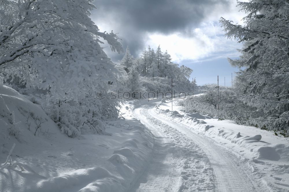 Similar – room divider Nature Winter