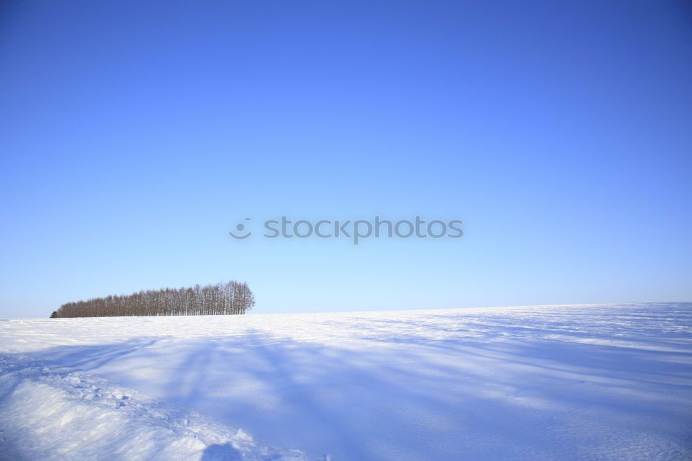 Similar – ausgebüxt Winter gefroren