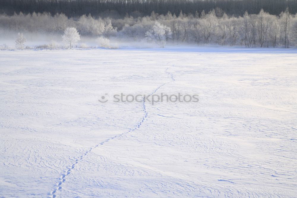 Similar – Image, Stock Photo winter landscape