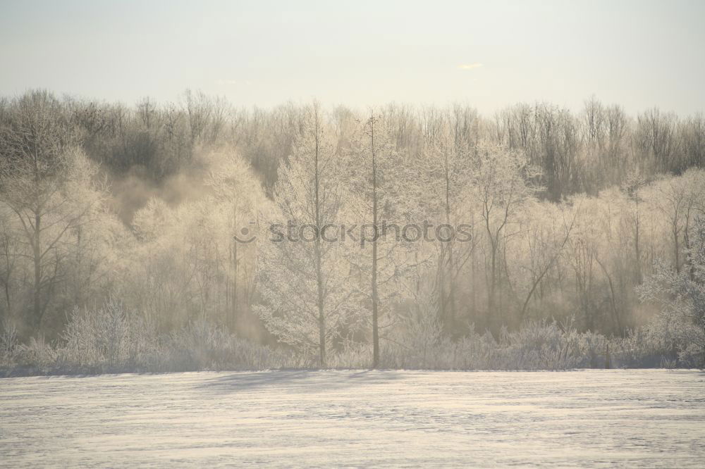 Similar – Foto Bild Winterfreuden Eis Frost