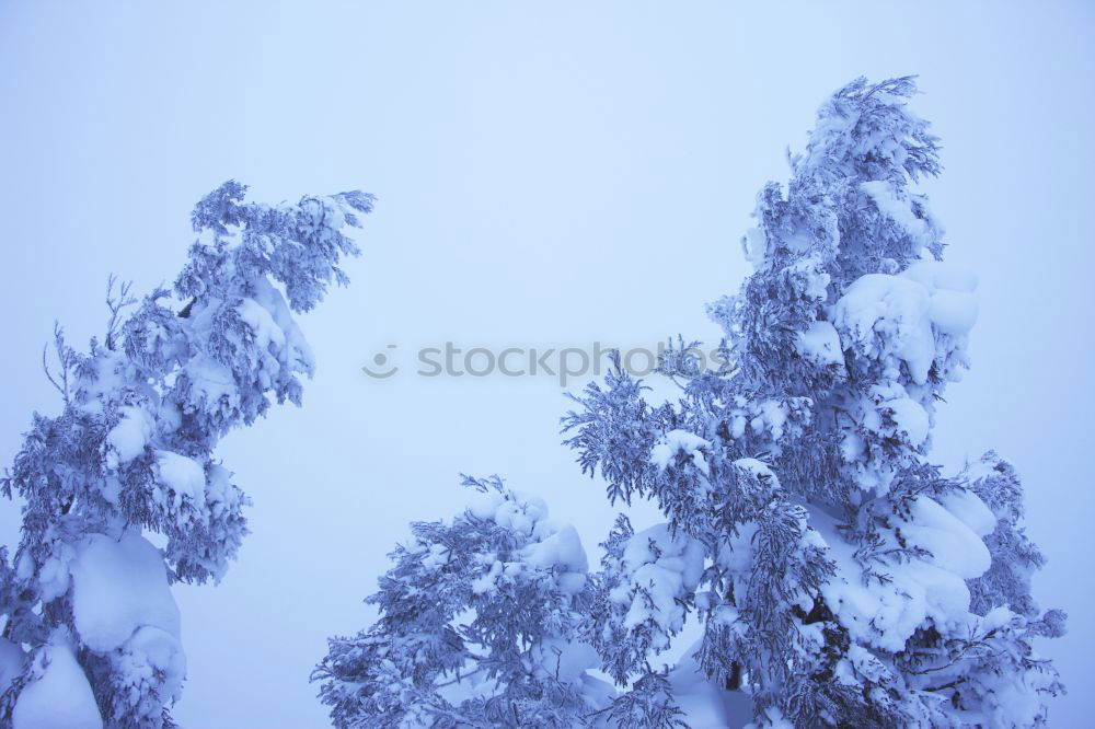 Similar – Image, Stock Photo winter Harmonious