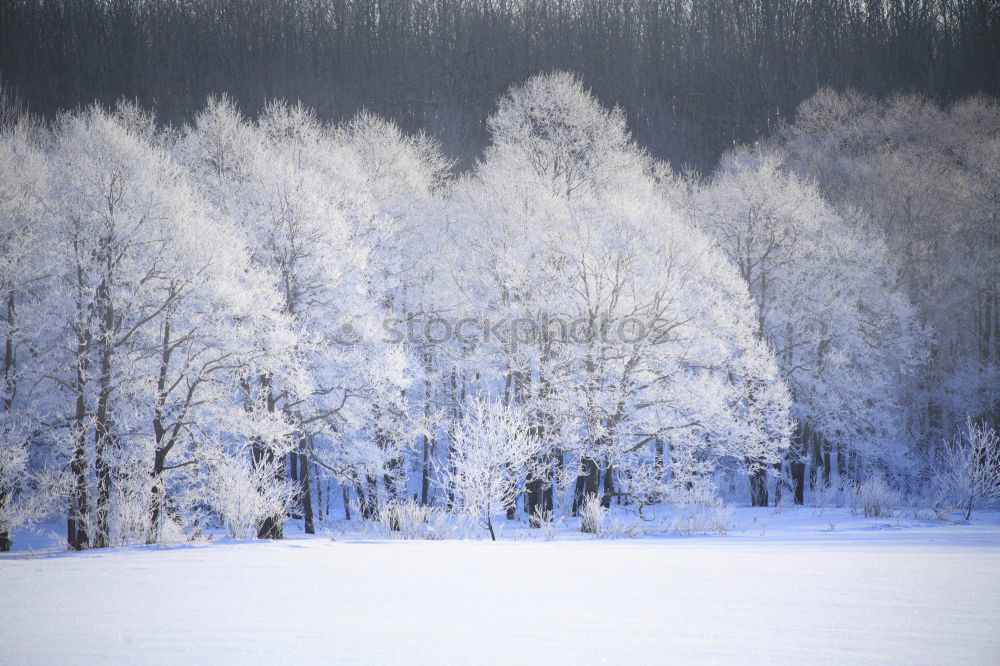 Similar – Image, Stock Photo hibernation Lake Water